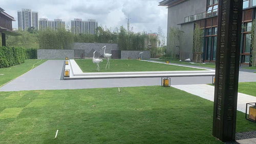 黃埔區(qū)知識(shí)城綠化建造,專業(yè)園林綠化公司60天完成園林綠化工程