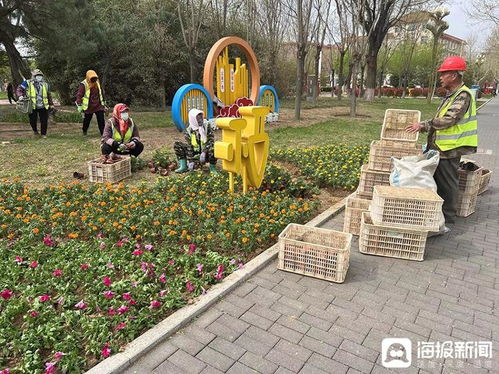 煙臺戰隊出手了 全市聯動版 挖呀挖呀挖 申請出戰鳳凰網山東 鳳凰網