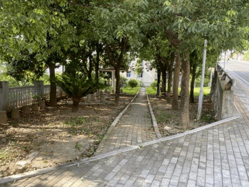 葛洲壩片區公共綠化景觀改造工程動工