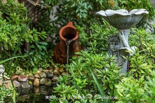技能 花園設計改造施工景觀園林綠化工程設計施工