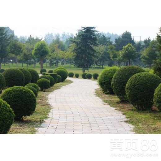 【沈陽渾南區市政綠化養護公司】- 