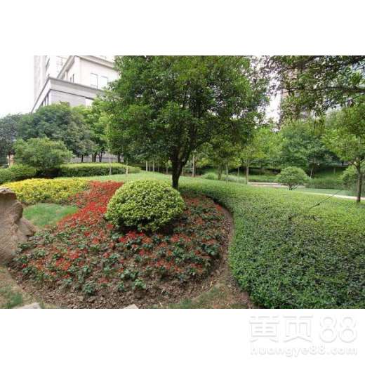 【南海園林綠化施工價格】- 