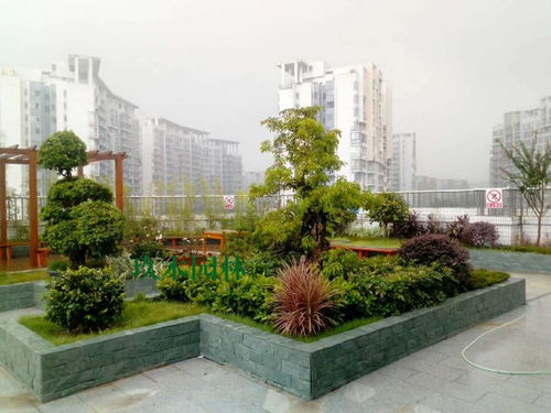 圖 園林綠化工程施工 別墅小區綠化養護苗木 草皮花枝修剪 廣州鮮花綠植