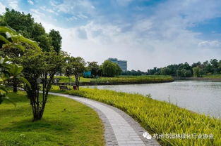 2016年度杭州市優(yōu)秀園林綠化工程道路組金獎(jiǎng) 杭州蕭山國際機(jī)場迎賓專用道路及環(huán)境提升工程景觀綠化