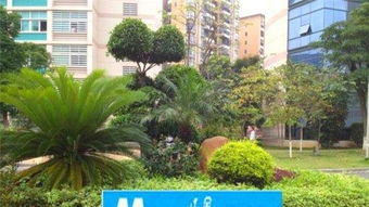 圖 專業(yè)私家花園 大型綠化工程施工 工程苗木直銷 成都鮮花綠植