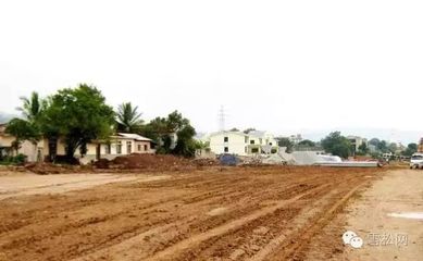 住建部印發(fā)《園林綠化工程建設(shè)管理規(guī)定》