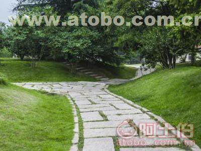 哪兒有品牌好的景觀園林綠化施工 園林景觀工程施工公司