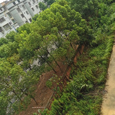 園林綠化施工招聘_園林綠化施工崗位職責_最新園林綠化施工招聘信息