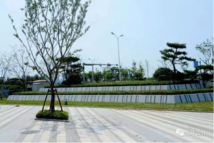 精文綠化 ┃金茂 中歐國際城 a2地塊 景觀施工 公園式社區