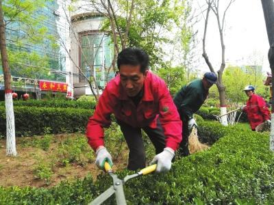 沈陽市綠化工報名是在哪里需要多久時間
