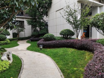 麗芳園林景觀規(guī)劃養(yǎng)護服務 一級品質(zhì) 性價比高 綠化工程施工