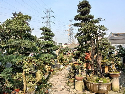 成都市光和園林藝術有限責任公司專業從事園林綠化的設計施工