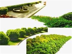 重慶園林公司