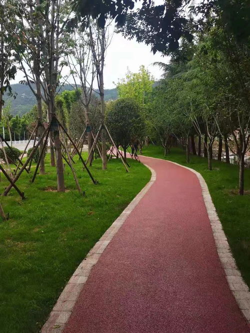 園林綠化工程隊為民辦實事 家門口的小公園 裝著大大的幸福