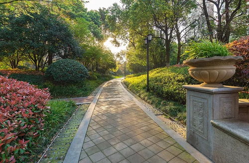 城市園林綠化工程建設中的誤區