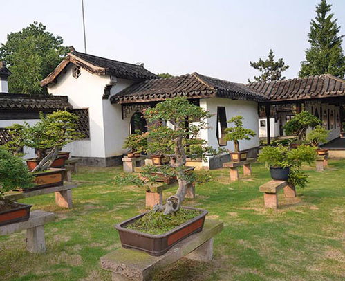 學校園林綠化工程常用指南,百通生態(tài)環(huán)境