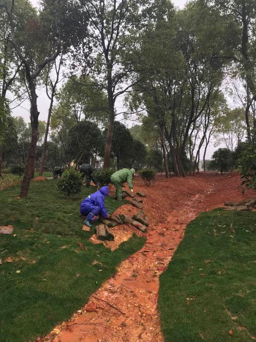 程家九龍公園綠化加緊施工,工人冒雨作業(yè).