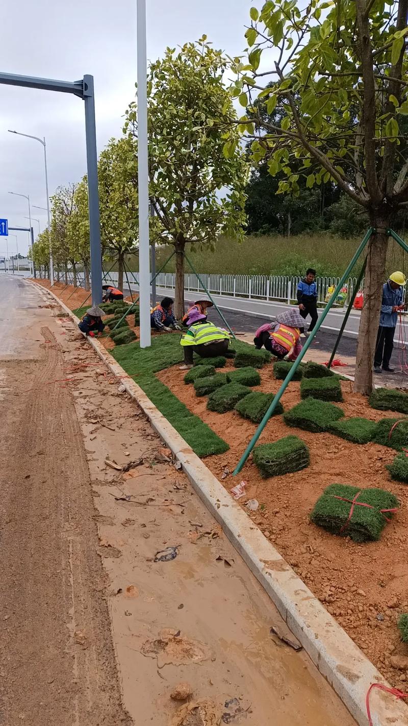 園林綠化