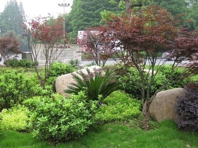 找上海園林綠化工程-上海苗木-苗木批發價格-苗木基地的上海園林景觀設計-園林景觀制作價格價格、圖片、詳情,上一比多_一比多產品庫