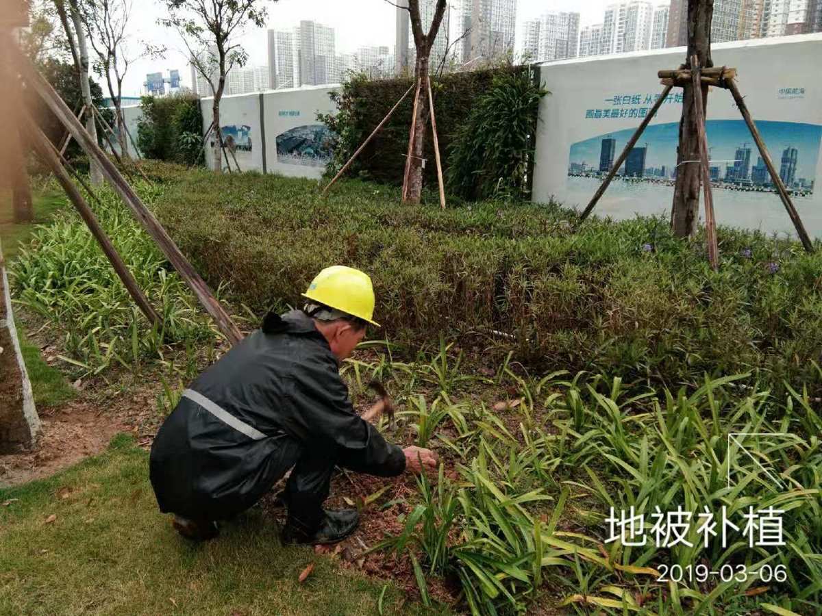 4月23日,市政園林局持續開展人行道修復,綠化帶修剪,喬.