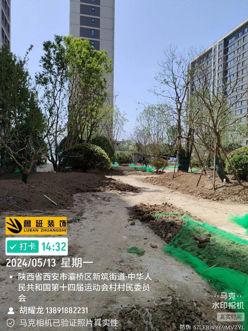 施工現場實拍 #園林綠化工程 #工程進度 #現場實拍 望江