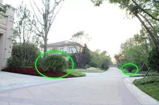 綠化植物配置的基礎點和反季節施工重點