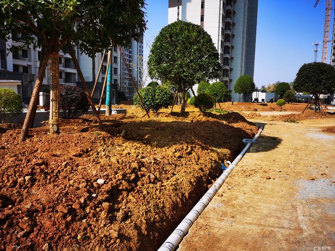 花家地最新工程進度,小區園林綠化全面種植!_廣水房網