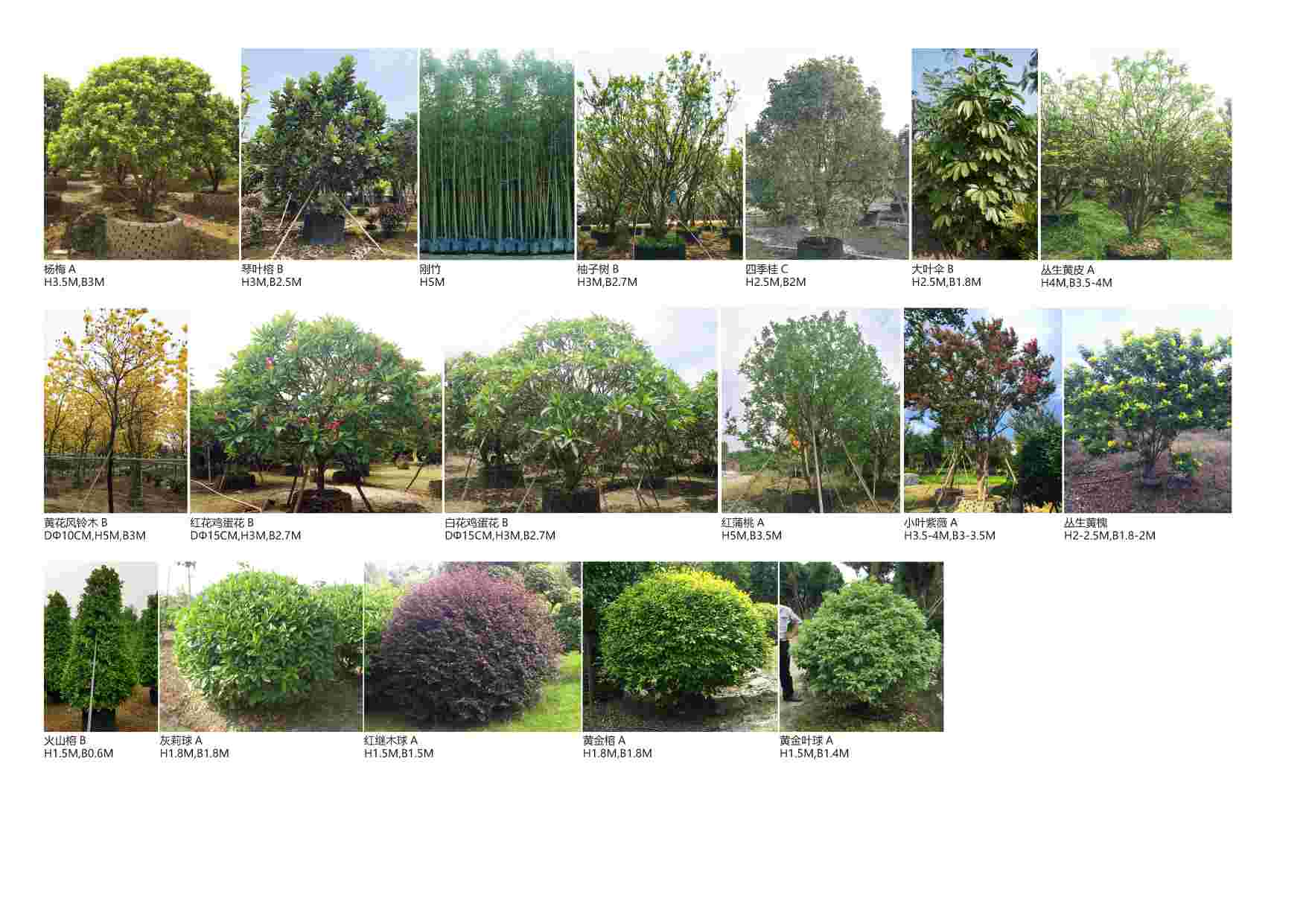 廣東佛山1.有做園林綠化,園建工程的施工隊可以聯(lián)系我,勞務中-魚泡網(wǎng)