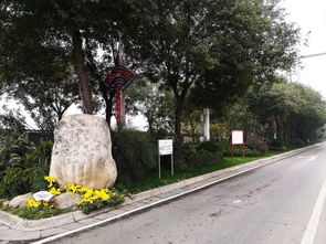 喜訊 人文園林在2018年度杭州市優(yōu)秀園林綠化工程評比中榮獲三金的佳績